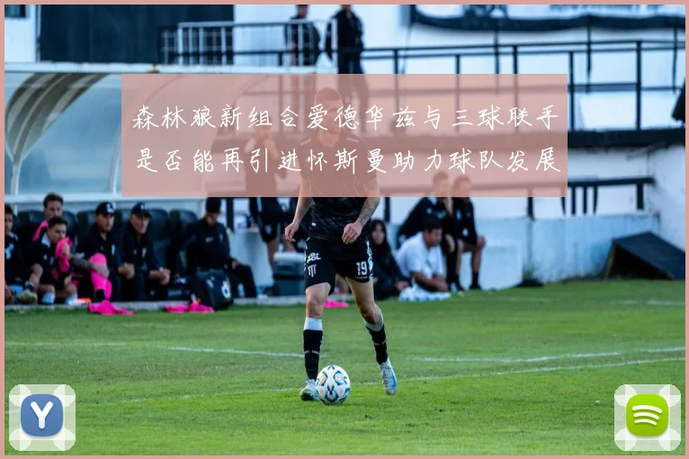 森林狼新组合爱德华兹与三球联手是否能再引进怀斯曼助力球队发展